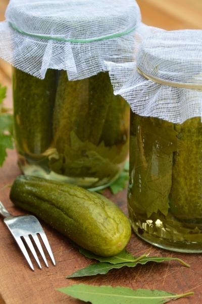 Gros Cornichons Au Sel La Cocotte