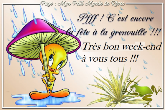Bon week-end malgré la pluie ! - Territoire Charente et Vienne
