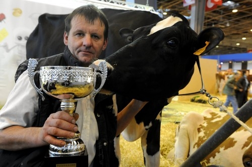 a connu l'amour vache en 2 lettres