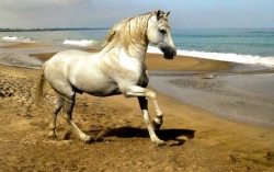 Test 1