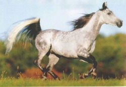 Test 12