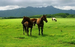 Test 2