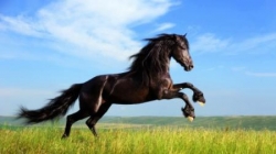 Test 5