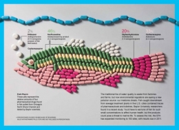 poisson-contamine-medicament.jpg