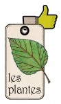 catégorie plantes.jpg