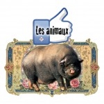 catégorie animaux.jpg