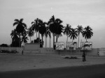 DSC02393 copie.jpg