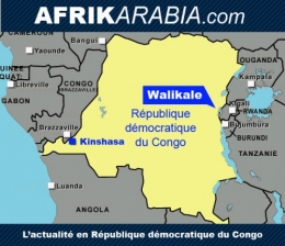 carte RDC Afrikarabia Walikale2.jpg