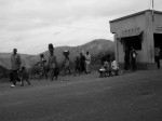 DSC02372 copie.jpg