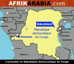 carte RDC Afrikarabia Walikale.jpg