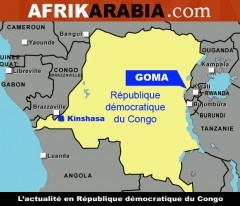 carte RDC Afrikarabia MODELE.jpg