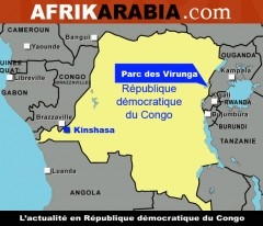 carte RDC Afrikarabia Virunga.jpg