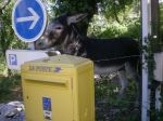 bal la Poste.jpg