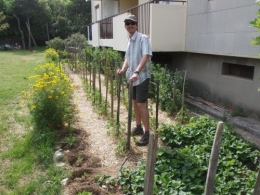 JP VIGLIONE JARDIN PARTAGE.jpg