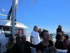 IMG_0920.JPG