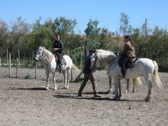 IMG_0897.JPG