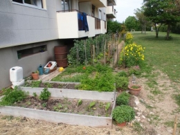JARDIN PARTAGE LAURE.jpg