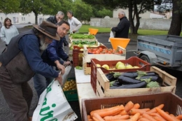 MARCHE PAYSAN SOLIDAIRE.jpg