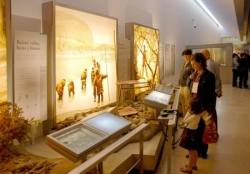 Museo de Altamira