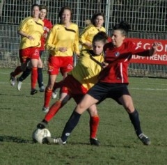 201201161572_w350.jpg