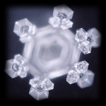 Cristal Emoto.png