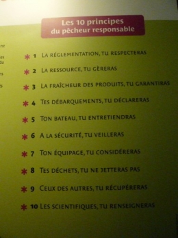 pêche,pêcheurs,poisson,mer,haliotika,st guenole,le guilvinec,port