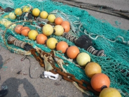 pêche,pêcheurs,poisson,mer,haliotika,st guenole,le guilvinec,port