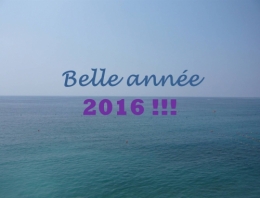 Voeux_2016_blog.jpg