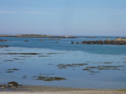 P1100297.JPG