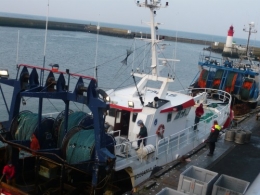 pêche,pêcheurs,poisson,mer,haliotika,st guenole,le guilvinec,port