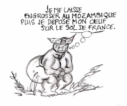 Mayotte.jpg