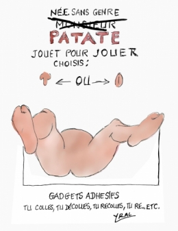 monsieur patate,apolline de malherbe,rmc,jouet non genré,écriture inclusive,le retour des anges,habro