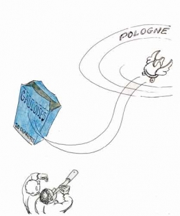 Gauloises-en-Pologne.jpg