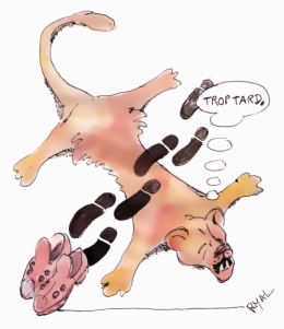 Mouvements-animalistes.jpg