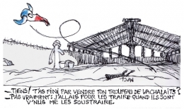 dermatose,abattage de troupeaux,colère paysanne,coordination rurale,fnsea,ariège