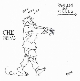 vincent lambert,soins palliatifs,loi leonetti,c.h.u. reims,cedh,libération,euthanasie,fin de vie