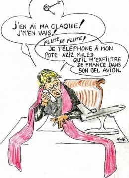 Michèle Alliot-Marie,vol en jet,ben ali,