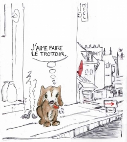 Chien-semaine-nationale.jpg