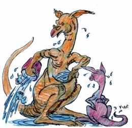 Australie-inondations.jpg
