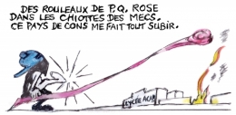blocus lycées,30 milions d'euros dégats émeutes,casseurs pas payeurs,acab 1312,mélenchon dans sa tambouille