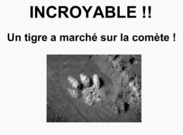 tigre en liberté,seine et marne,montévrain,philéa,philae,rosetta,astrophysique