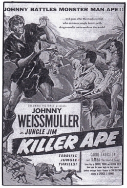 bd jim la jungle,johnny weissmuller,cinéma les bourbons montluçon,cinéma les variétés montluçon,tarzanide du grenier,bandes dessinées de collection,bar zing,montluçon