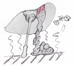 Maryline Monroe.jpg