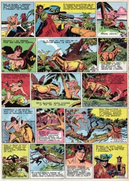 comte zaroff,king kong,tarzan,cinéma le champollion,École voltaire montluçon