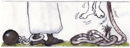 Racisme antiblanc.jpg
