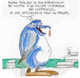 françois hollande,carla bruni sarkozy,pingouin,manchot,politique,média,vie des animaux