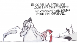 SNCF chat décapité.jpg