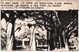 hitler,goering,tarzan,editions mondiales del duca,thorwald,ubermensch,bandes dessinées de collection,bar zing,tarzanides