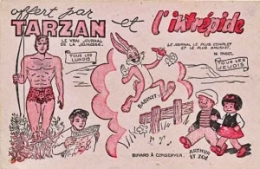 bd,bd anciennes,bd de collection,tarzan,tarzanides