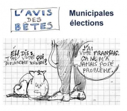 L'avis-des-bêtes-élections.jpg